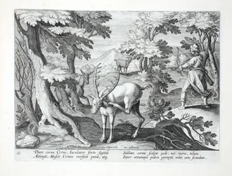 Quando um cervo arranha seus chifres com o pé, um caçador, com os dois pés para frente, lança uma flecha no ar, ilustração de "Venationes, Ferarum, Avium, Piscium" (De Caça: Animais Selvagens, Pássaro